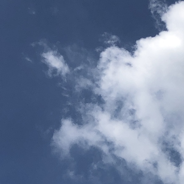 雲の写真